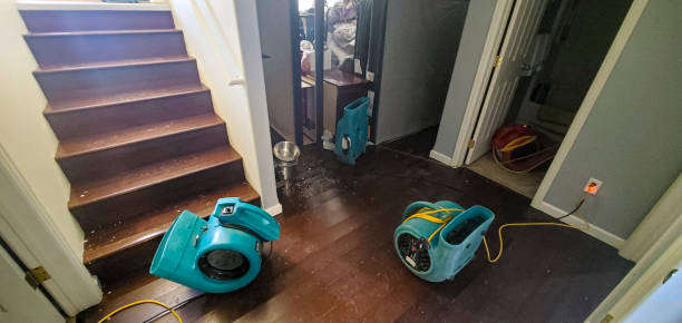 Best Carpet water damage restoration  in , AZ