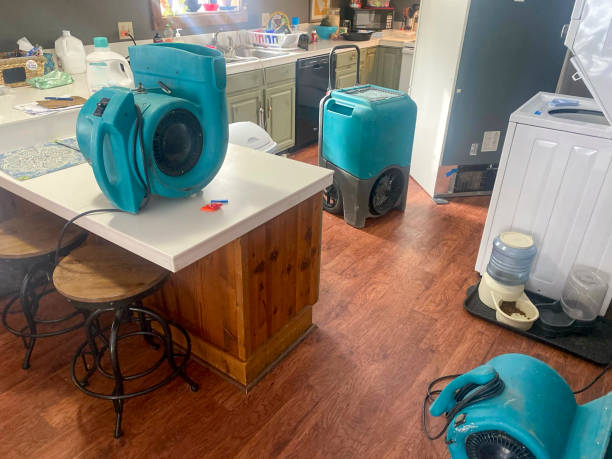 Best Carpet water damage restoration  in , AZ