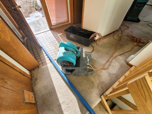 Best Residential water damage restoration  in , AZ