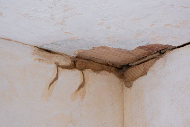  , AZ Water damage restoration Pros