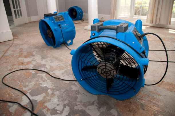 Best Ceiling water damage repair  in , AZ