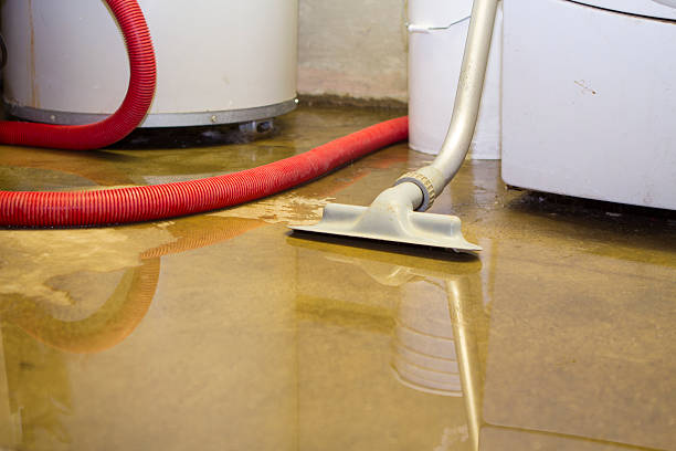 Best Emergency water damage restoration  in , AZ