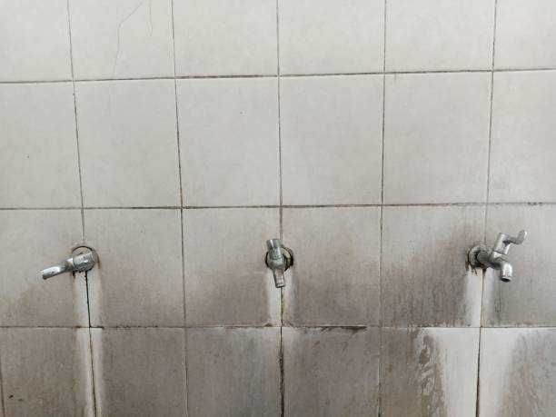 Best Water damage cleanup near me  in , AZ