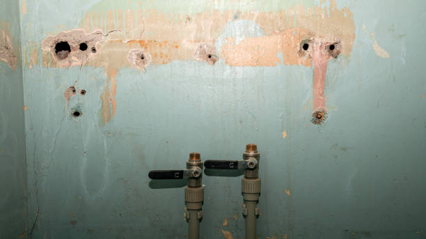 Best Basement water damage restoration  in , AZ