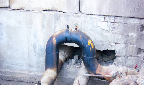 Best Flood damage cleanup  in , AZ