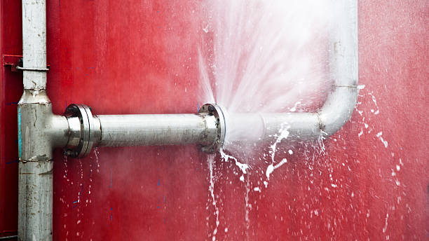 Best Water damage restoration insurance claims  in , AZ