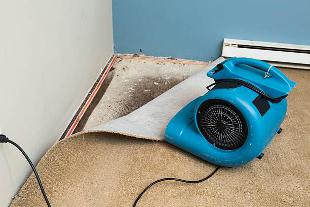 Best Flood restoration services  in , AZ